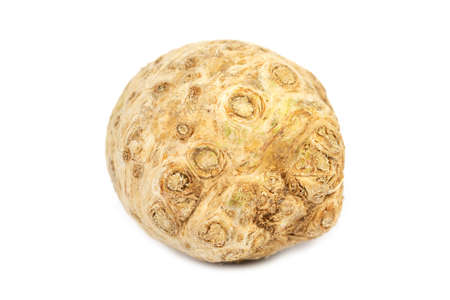 The fresh young heads of celeriac (celery)