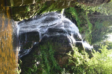 beauliful waterfall in the forestの写真素材