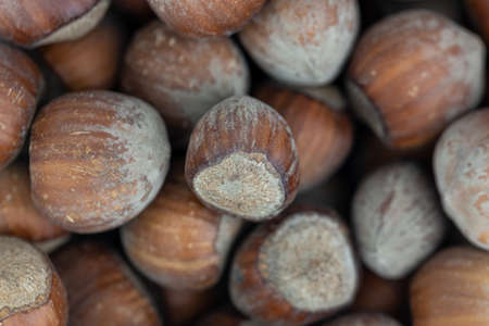 hazelnut background texture