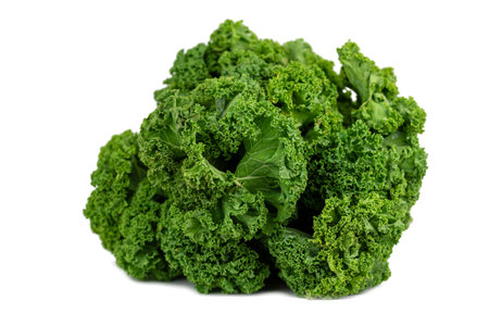 Fresh kale leaves isolated on white background.の写真素材