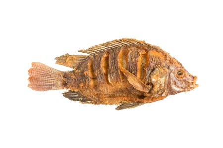 tilapia fish deep fried isolated on white in top viewの写真素材