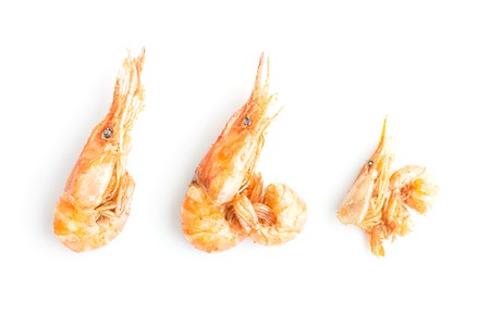 fried shrimps isolated on white in top viewの写真素材