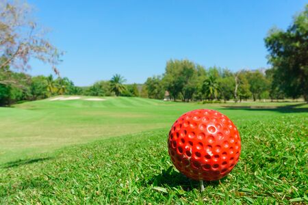 red golf ball on greenの写真素材