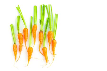 baby carrot on white backgroundの写真素材