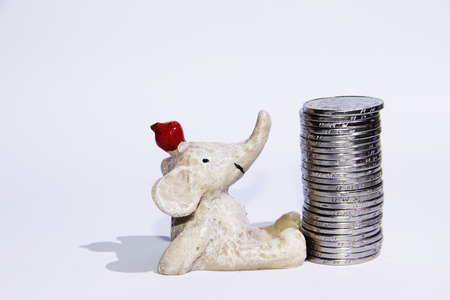 doll and coinの写真素材