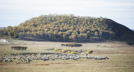 Inner Mongolia grassland sceneryの写真素材