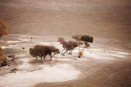 Inner Mongolia grassland の写真素材