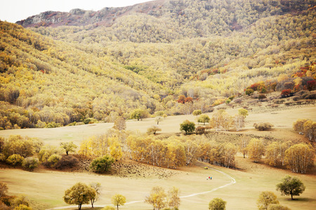 Inner Mongolia grasslandの写真素材