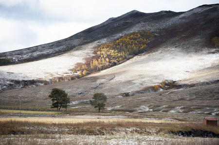 Scenery view of a snowy mountain 
