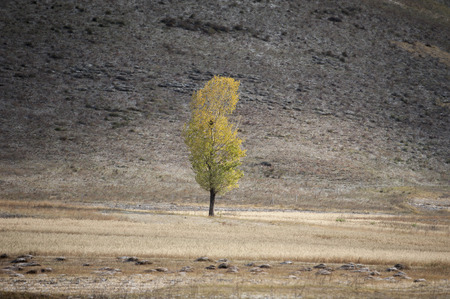 Nature scenery viewの写真素材