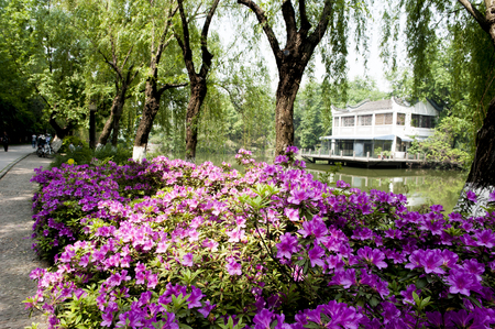 Hefei baohe Park landscape viewのeditorial素材