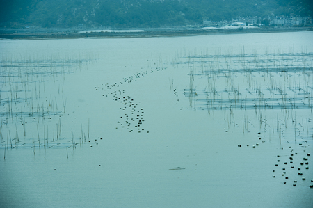 Fujian lake viewの写真素材