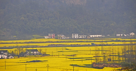 Spring in the southern Anhuiの写真素材