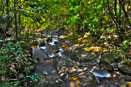 Wuyi Shan streams