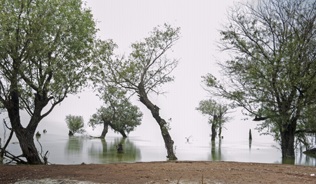 Chaohu lake, Hefei lake, "the rise of"の写真素材