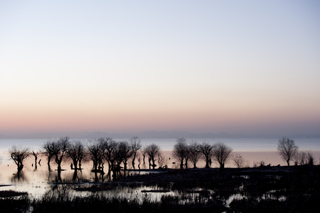 Dawn of Chaohu, Anhuiの写真素材
