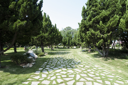 park sceneryの写真素材