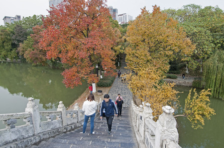Autumn scenery in a public gardenのeditorial素材