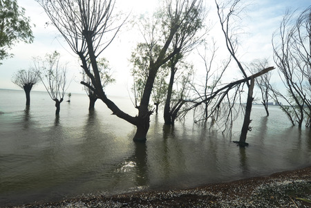 Chaohu Luxi Wetlandの写真素材