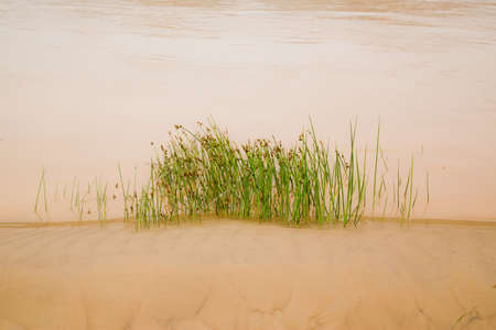 Yellow imprintの写真素材