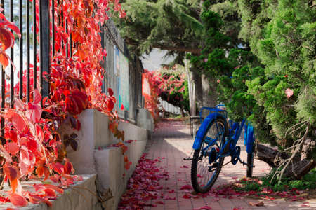 Port Arthur autumnの写真素材