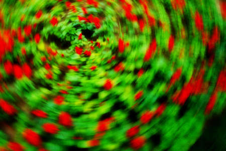 Rotating flowersの写真素材