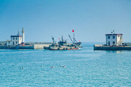 Seaのeditorial素材