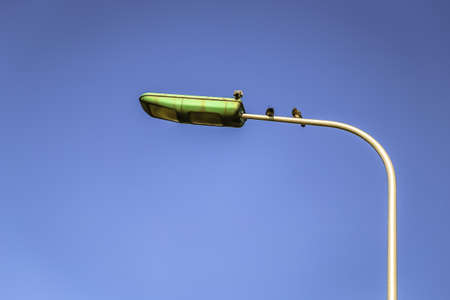 Streetlightsの写真素材