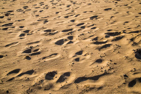 Footprints on the beach