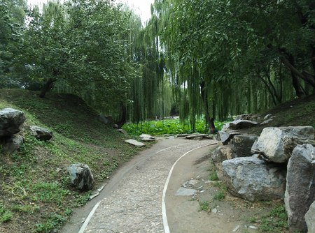 Secluded mountain silenceの写真素材