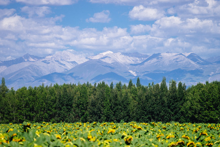 Outskirts sceneryの写真素材
