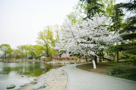 Beijing Yuyuantan Springの写真素材