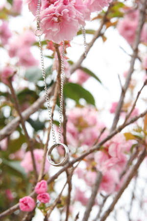 Rings and cherryの写真素材