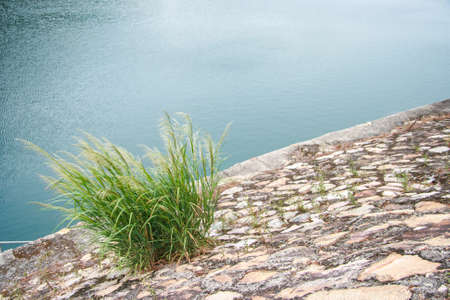 Reservoirの写真素材