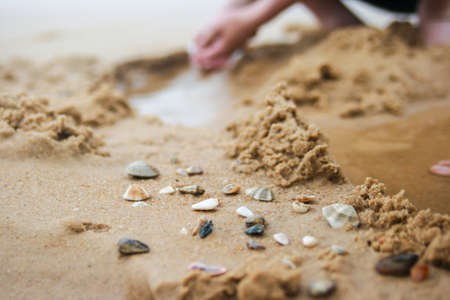 Shell