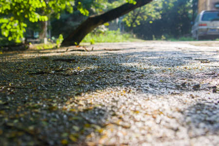 Ground closeの写真素材