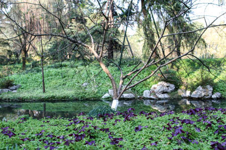 Greenの写真素材