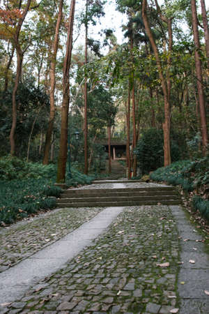 Mountainの写真素材