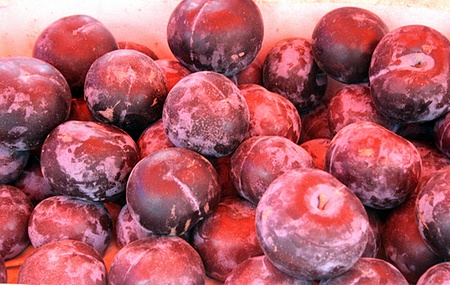 Delicions sweet and sour ploms are listedの写真素材