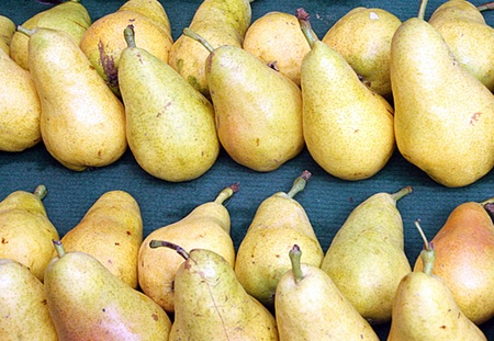 Texas pears listed の写真素材