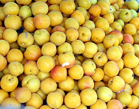 October 9-is listed  on the appleの写真素材