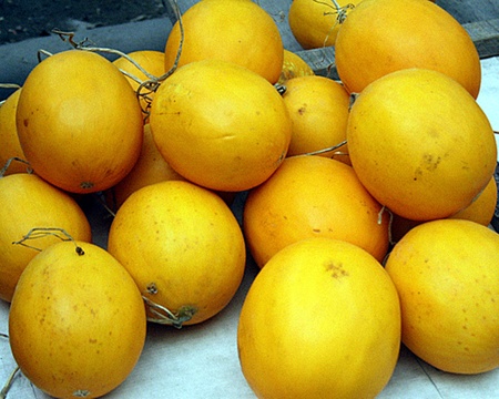 The old manloves to eat water melonの写真素材