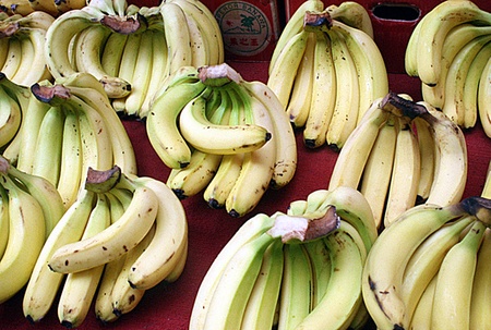 Sesame bananas and cheap and tastyの写真素材