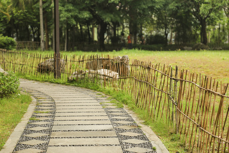 Fencesの写真素材