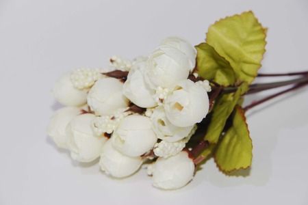 flowerの写真素材