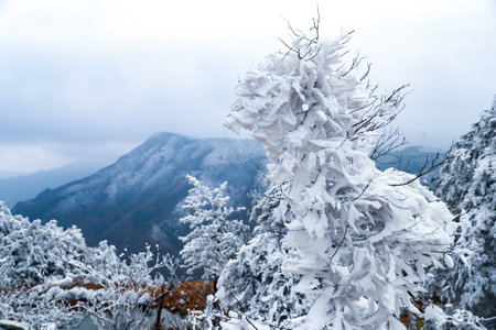 Beautiful winter rime landscape in the country of Kuocang Mountain, Zhejiang, Chinaの写真素材
