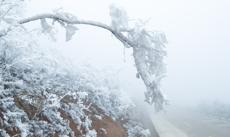Winter landscape with snow covered trees in Kuocangshan, China.の写真素材