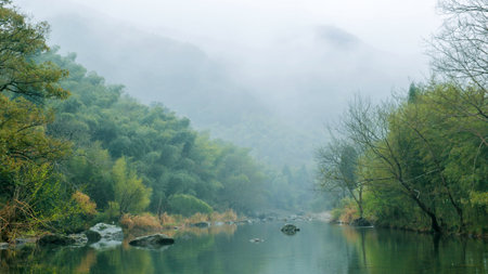 landscape view of the river and forest in the foggy morningの写真素材