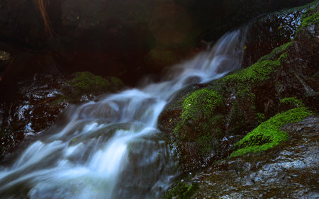 Waterfall in deep forest. Nature composition. Long exposure photo.の写真素材