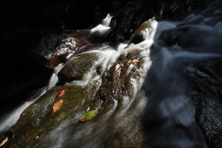 In autumn, a waterfall deep in the forest flows through the fallen leaves on the stonesの写真素材